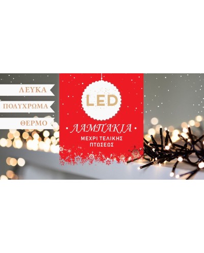 100 LED Λευκά  Χριστουγεννιάτικα  Λαμπάκια με πρόγραμμα OEM