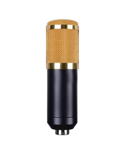 Πυκνωτικό μικρόφωνο BM-800
