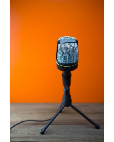 Επαγγελματικό μικρόφωνο 3.5mm EZRA MP01