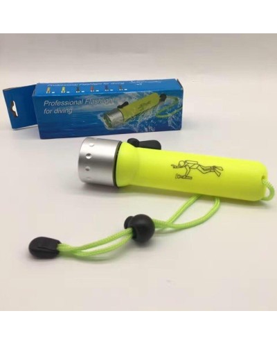 Επαγγελματικός Καταδυτικός Φακός 6V, 3W Professional Flashlight for Diving, BL-PF-02
